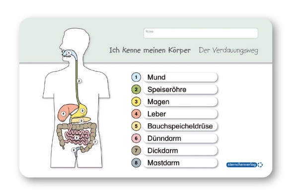 Ich kenne meinen Körper - Der Verdauungsweg - Lerntafel ohne Stift