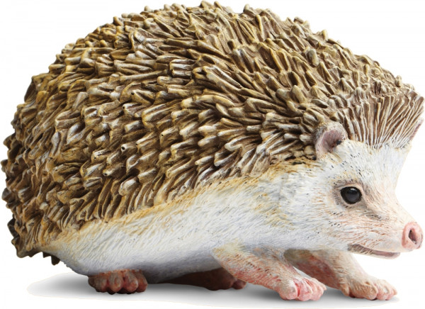 Großer Igel